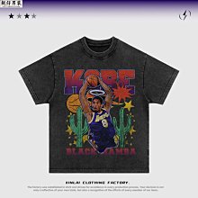 牌科比籃球鞋男摩擦有聲音減震透氣兒童運動青少年鞋學生 歷史價格詳細信息