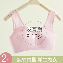 倉庫現貨出貨內衣女桑蠶絲緞面深V性感無鋼圈文胸 歷史價格詳細信息