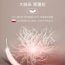保暖內衣貓人秋衣秋褲套裝女純棉修身厚款保暖內衣棉毛衫女士線衣線褲學生 歷史價格詳細信息
