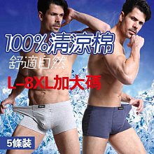 【5入】透明五格筆筒 無印風 桌面筆筒收納盒 歷史價格詳細信息