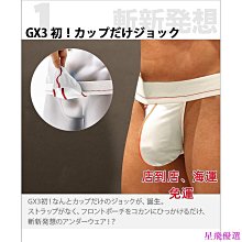 GX3 【夏日水泳】系列 Sheer BASIC 性感比基尼競速型泳褲  裸感 透視感三角泳褲1條裝 - K1561 歷史價格詳細信息