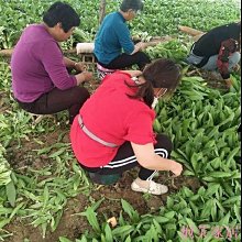 熱賣芙卡尼s925韓版復古男士撲克戒指霸氣個性簡約指環百搭潮流戒指-阿里巴巴-哈囉好物 歷史價格詳細信息