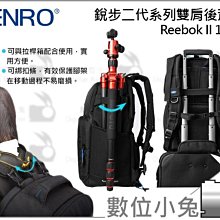 數位小兔【百諾 BENRO REEBOK 200N 雙肩攝影背包】銳步 銳跑 200 N 後背 相機包 攝影包 相機背包 歷史價格詳細信息