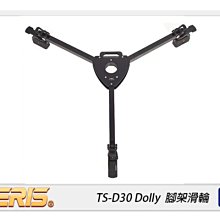 ☆閃新☆TERIS圖瑞斯 TS-300CF Fluid Head&Tripod 碳纖維三腳架組(TS300CF，公司貨) 歷史價格詳細信息