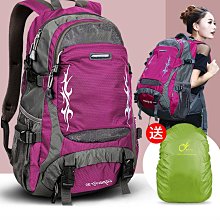 大容量雙肩包女2024夏季新款小眾高級感時尚多用女士背包通勤書包 歷史價格詳細信息