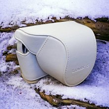 【Panasonic 國際牌】DMW-FL500E 外接閃光燈 G系列閃光燈(公司貨) 歷史價格詳細信息