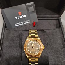 帝舵 25407 鈦金屬 39MM 潛水錶 TUDOR 歷史價格詳細信息