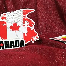 防水貼紙，地圖版本。日本、澳洲、南非。各一張共三張 歷史價格詳細信息