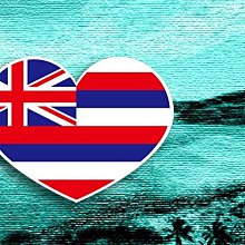 HAWAII 夏威夷 衝浪狗 衝浪 狗狗 刷毛 大學T 長袖 長T 自創品牌 韓系 深藍 白灰 米白 男 DOT聚點 歷史價格詳細信息