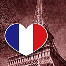 【國旗貼紙專賣店】法國徽方形登機行李箱貼紙／抗ＵＶ防水／旅行箱／世界多國可收集訂製 歷史價格詳細信息