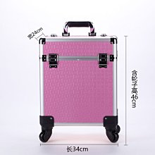 專業拉桿化妝箱多層可自由調節美甲 紋繡美睫半永久工具箱 歷史價格詳細信息
