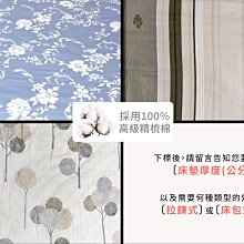 溫馨時刻1/3【薄被套】單人/雙人系列 100%精梳純棉 多款花色  客製化 歷史價格詳細信息