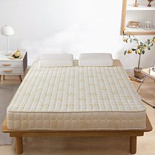 床墊子學生宿舍加厚軟墊1.5米家用睡墊床褥墊單人雙人鋪-默認最小規格價錢  其它規格請諮詢客服 歷史價格詳細信息