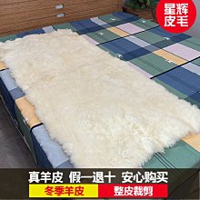 床墊 羊羔絨加厚保暖床墊軟墊家用學生宿舍單人床褥墊褥子墊被被褥鋪底~定金-有意請咨詢 歷史價格詳細信息