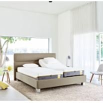 TEMPURA KIDZ / 天下最大碗 (CD+DVD影音吃到飽盤)  2015/09/18 發行~ 歷史價格詳細信息