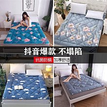 【熱賣精選】秋冬保暖牛奶絨四件套床笠款毛絨被套床單珊瑚絨床裙防靜電不掉毛 歷史價格詳細信息