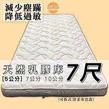 【嘉新床墊】厚7公分/ 標準單人3尺【天然椰棕床墊】頂級手工薄墊/台灣領導品牌/矽膠乳膠優點 歷史價格詳細信息