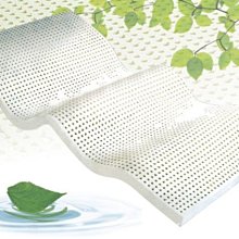 【薄床墊】雙人床墊5尺-【維也納】100%頂級天絲+3M防潑水 (親膚抗螨 加厚舒適款) 攜帶型薄床墊 KIKY 歷史價格詳細信息