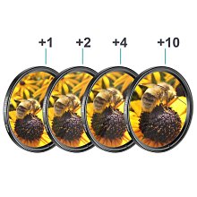 10/8/67 St. Paul's Evangelical Lutheran Church Bulletin Collingswood NJ 歷史價格詳細信息