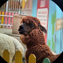 防水金屬紅外線非接觸式開關 按鈕 感應距離3~15cm 歷史價格詳細信息