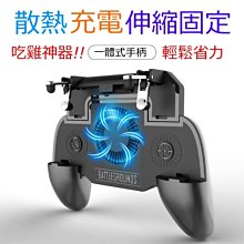 【飛炫戶外】軟皮內襯寵物項圈 M/L/XL 狗狗項圈 多色狗鏈 寵物項圈套 泡棉內襯 寵物項圈 泰迪脖子圈 狗鍊頸圈 歷史價格詳細信息