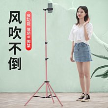 戶外拍攝視頻落地三腳架 雙補光燈手機自拍桿一體式 歷史價格詳細信息