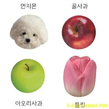 天下文化 韓國瑜VS.蔡英文：總統大選與兩岸變局 黃年 全新 歷史價格詳細信息