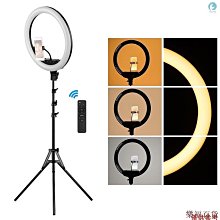 LED環形燈補光燈套組 歷史價格詳細信息